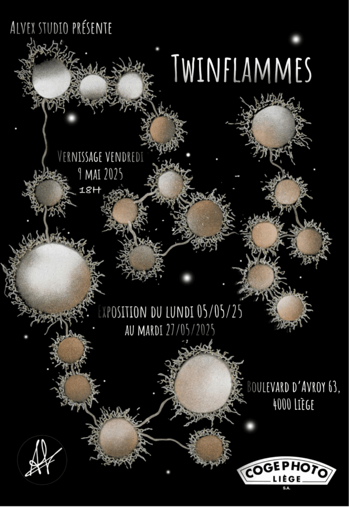 Photo d'illustration de l’évènement ALVEX - TWINFLAMMES