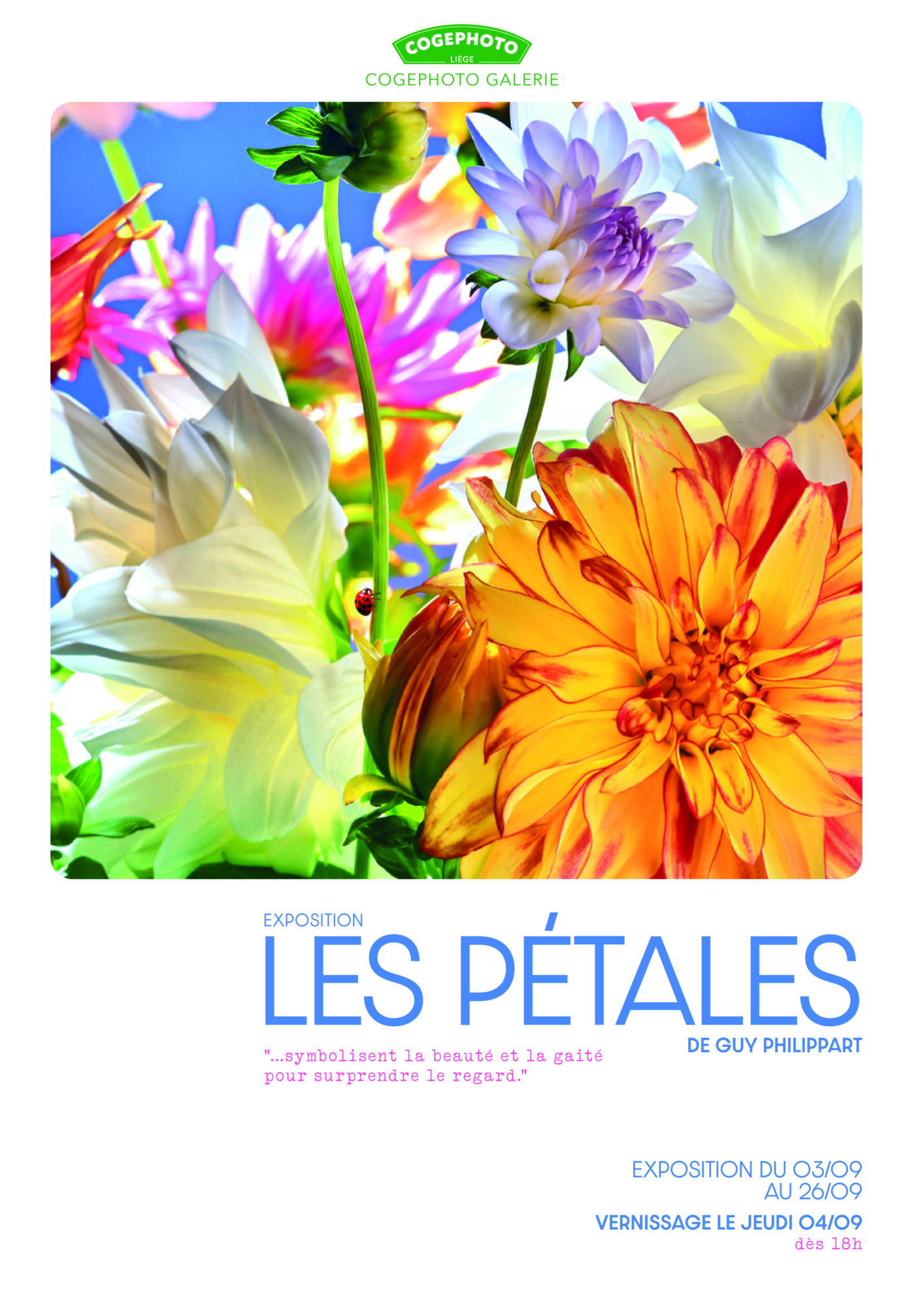 Photo d'illustration de l’évènement Les Pétales - Guy Philippart
