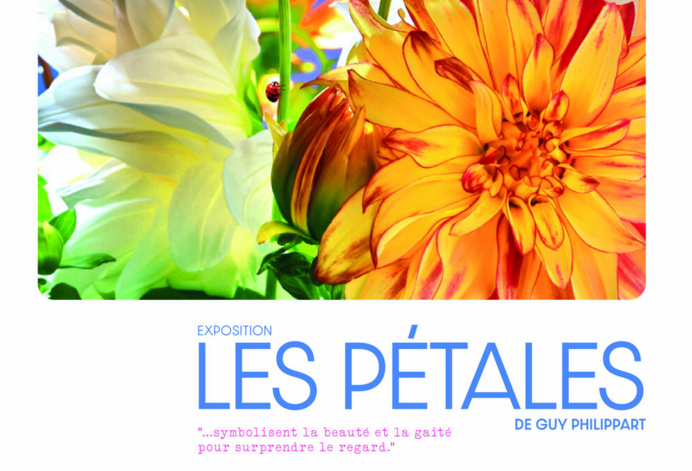 Photo d'illustration de l’évènement Les Pétales - Guy Philippart